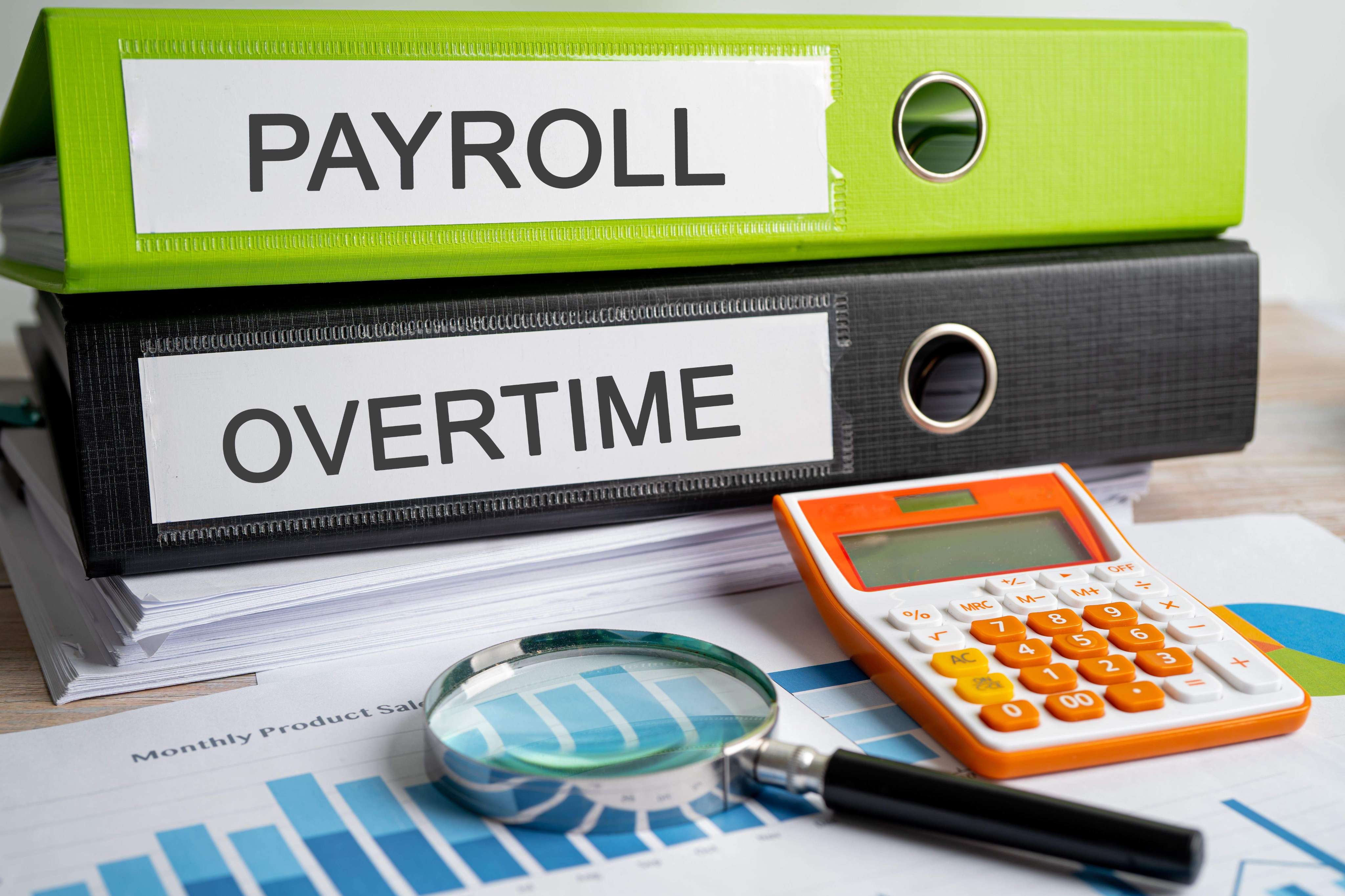 Sistem Payroll  illustration 3