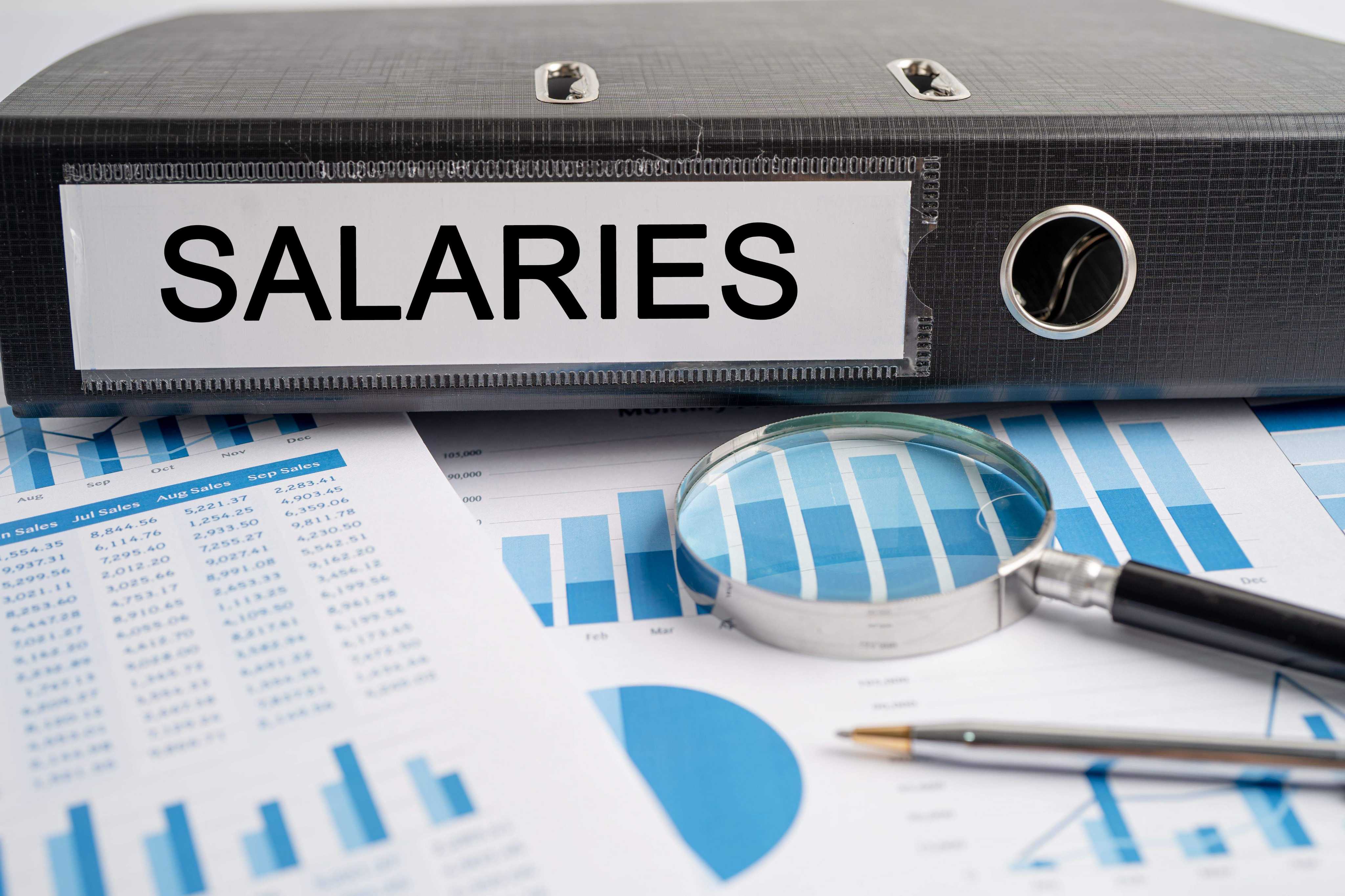 Sistem Payroll  illustration 4